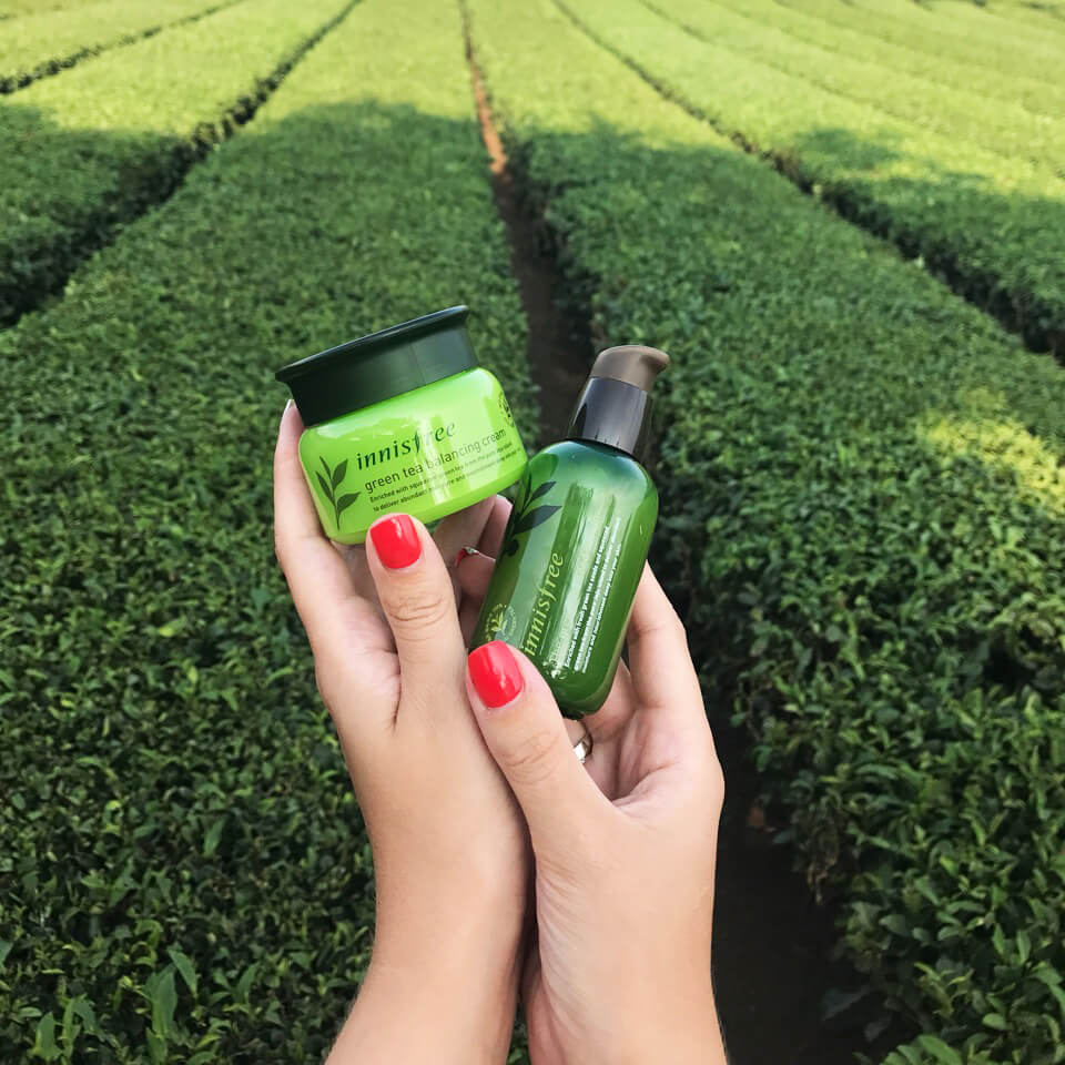 Innisfree Jeju House