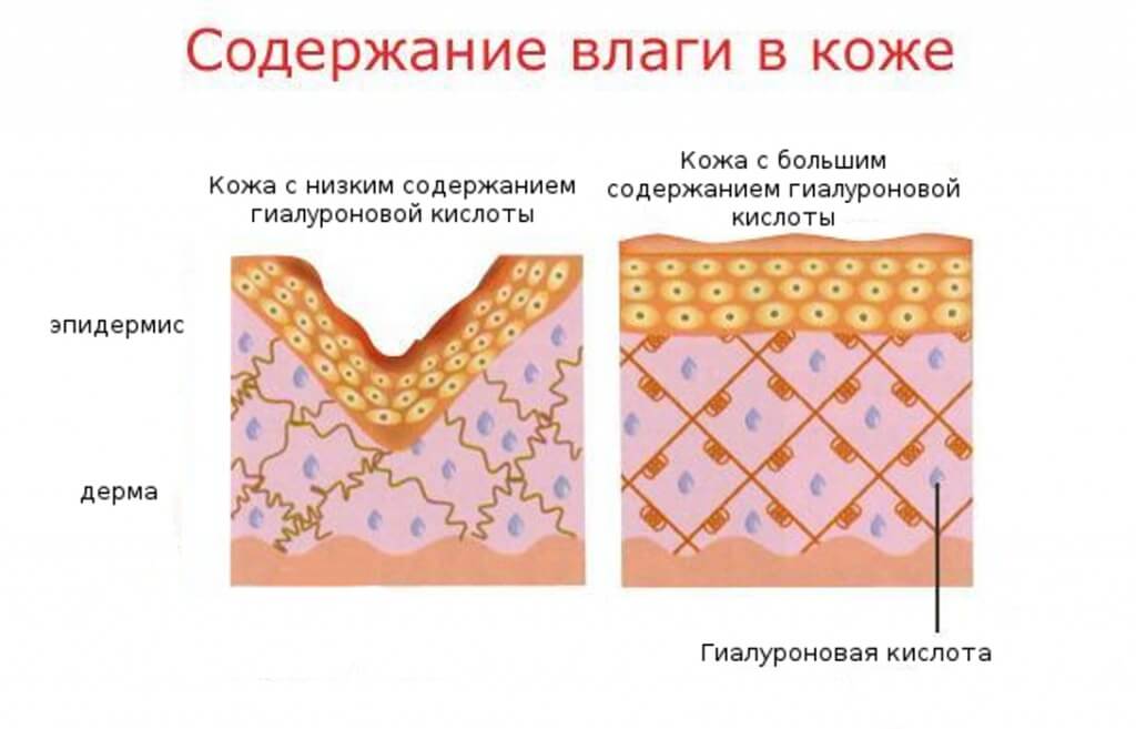 19_28_11vlaga_v_koje.jpg 19_28_11vlaga_v_koje.jpg